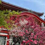公共交通機関で【なごや七福神めぐり⑦】大須観音　布袋尊