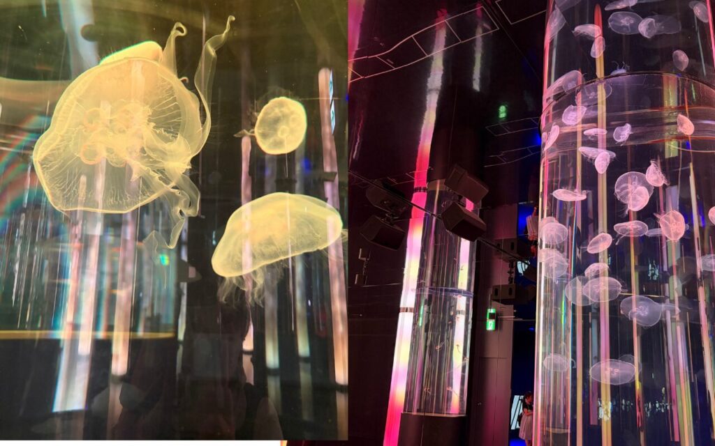 DMMかりゆし水族館の館内の様子