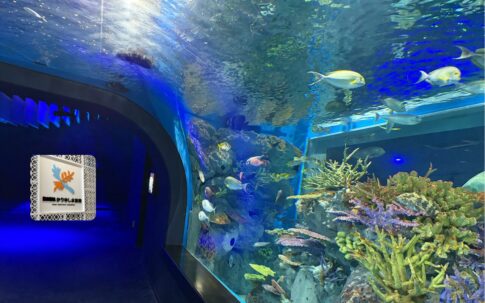 DMMかりゆし水族館