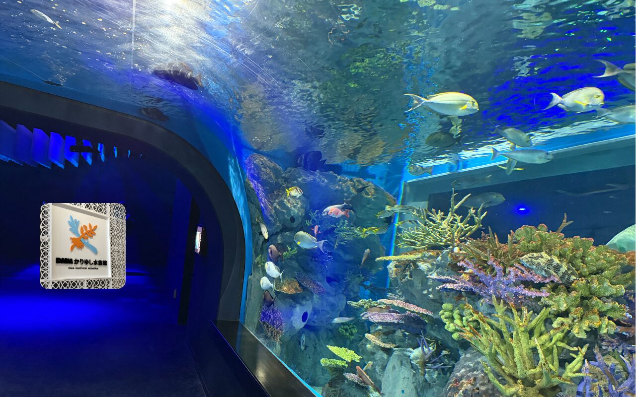 DMMかりゆし水族館